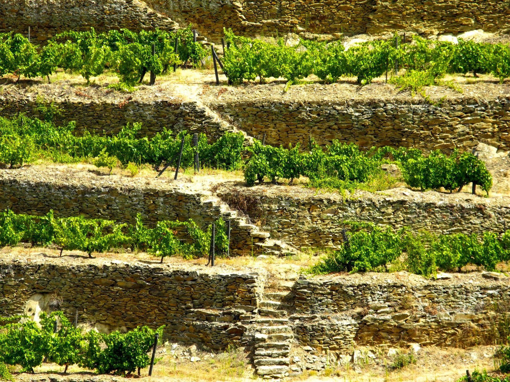 Rural Da Quinta Do Silval 4*